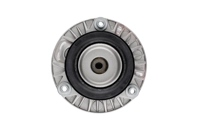 Bilstein B1 Front Top Mount Mounting