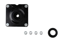 Bilstein B1 Front Top Mount Mounting