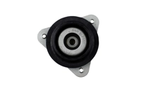 Bilstein B1 Front Top Mount Mounting