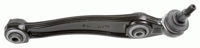 Track Control Arm Rear LEMFORDER