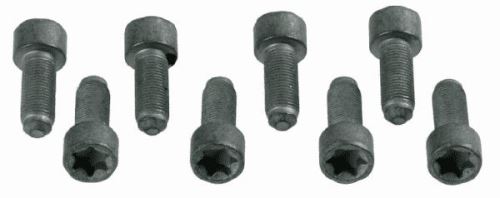 SACHS Screw Set, flywheel - 1874 000 031