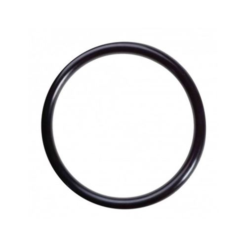 Viton O-Ring