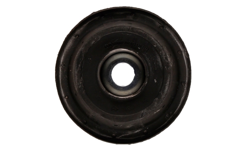 Bilstein B1 Front Top Mount Mounting