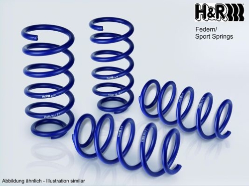 H+R Lowering Spring Set