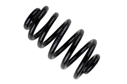 Bilstein B3 Rear Coil Spring