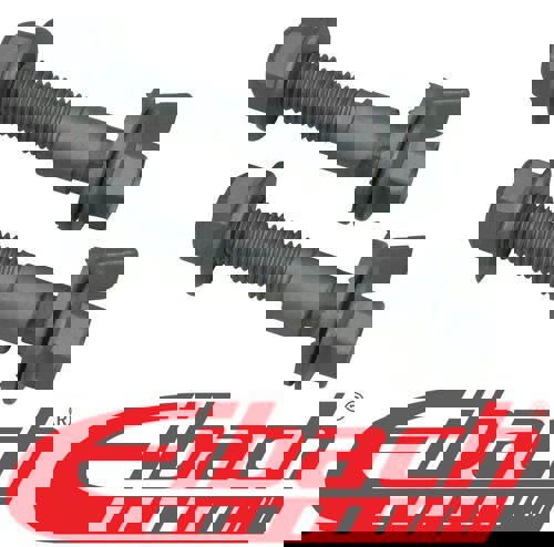 Eibach Ez Camber Bolts