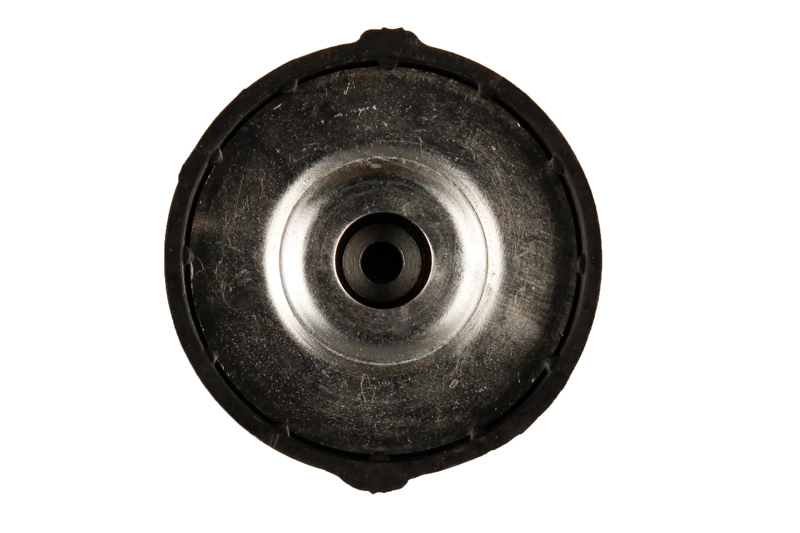 Bilstein B1 Rear Top Mount Mounting