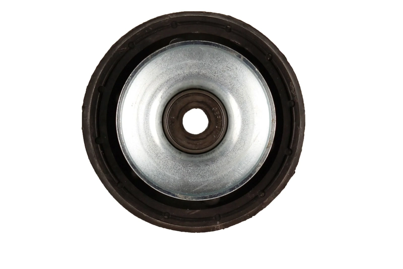 Bilstein B1 Front Top Mount Mounting