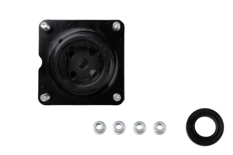 Bilstein B1 Front Top Mount Mounting