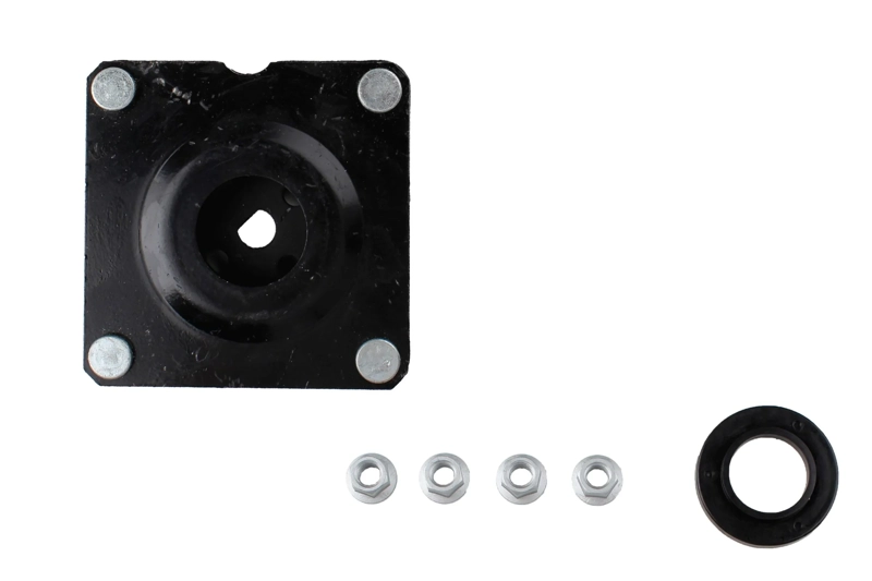 Bilstein B1 Front Top Mount Mounting