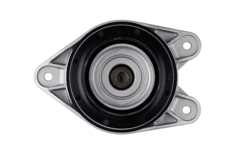 Bilstein B1 Front Top Mount Mounting