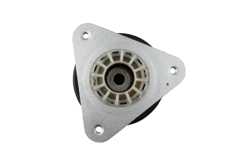 Bilstein B1 Front Top Mount Mounting