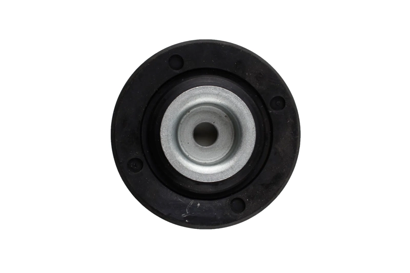 Bilstein B1 Front Top Mount Mounting