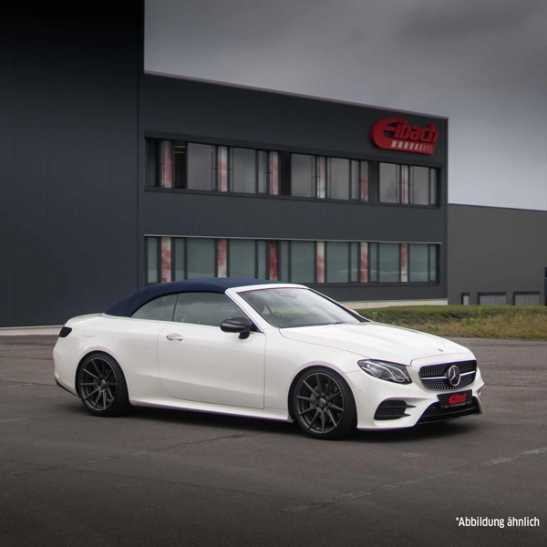 Eibach Pro-Kit Lowering Spring Set