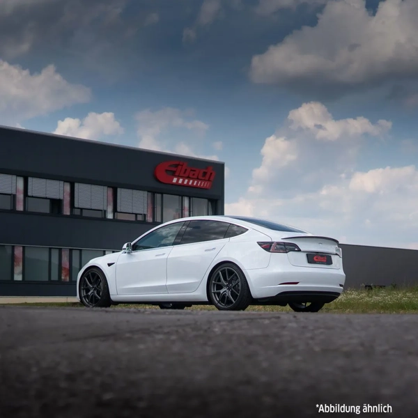 Eibach Pro-Kit Lowering Spring Set