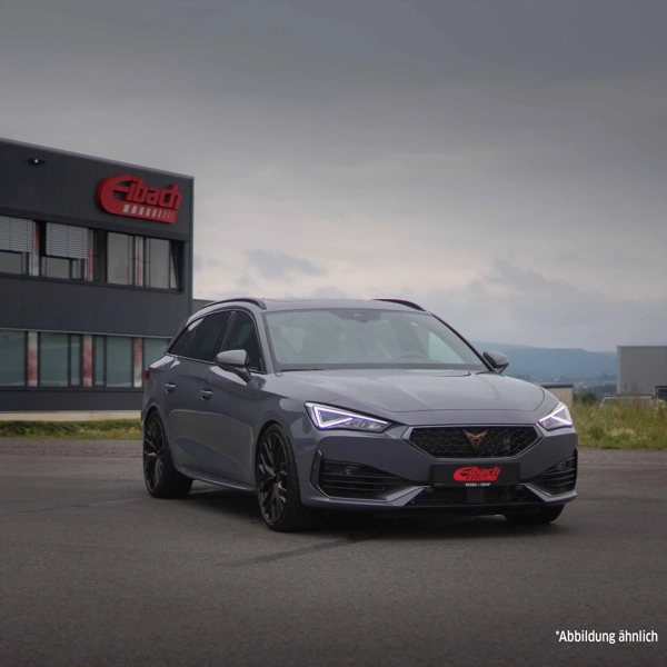 Eibach Sportline Lowering Spring Set