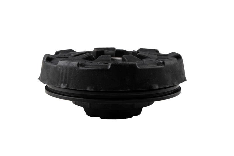 Bilstein B1 Front Top Mount Mounting