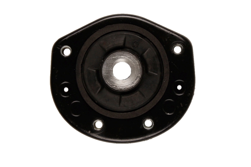 Bilstein B1 Front Top Mount Mounting