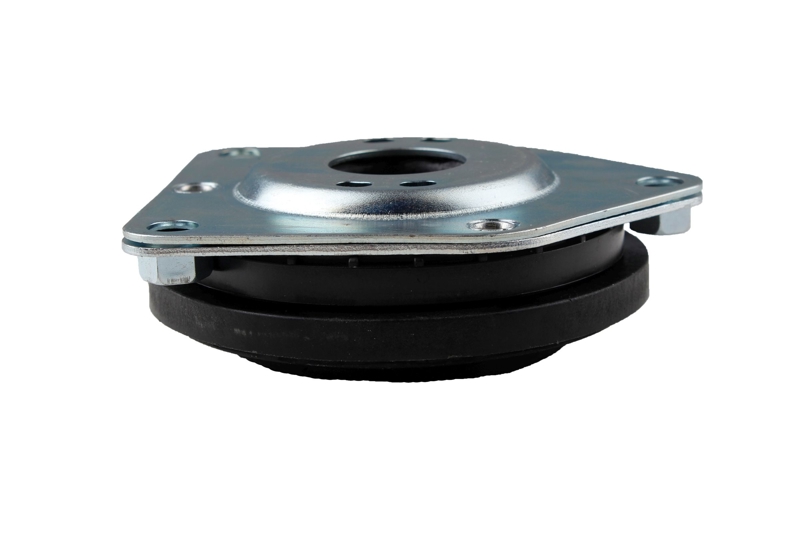 Bilstein B1 Front Top Mount Mounting