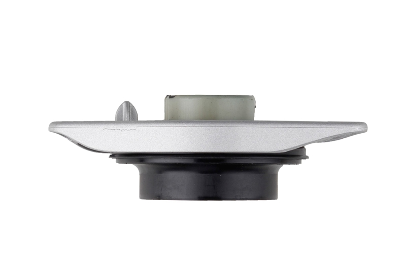 Bilstein B1 Front Top Mount Mounting