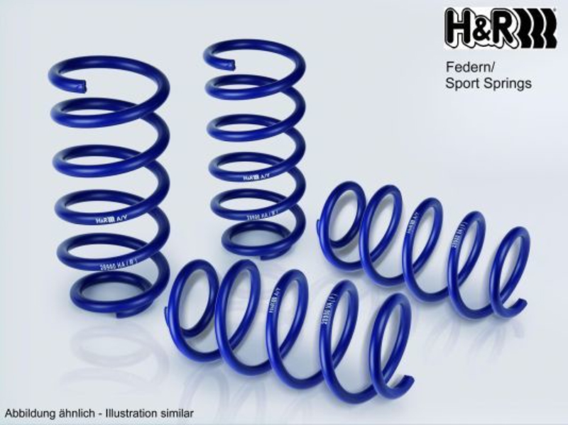 H+R Lowering Spring Set