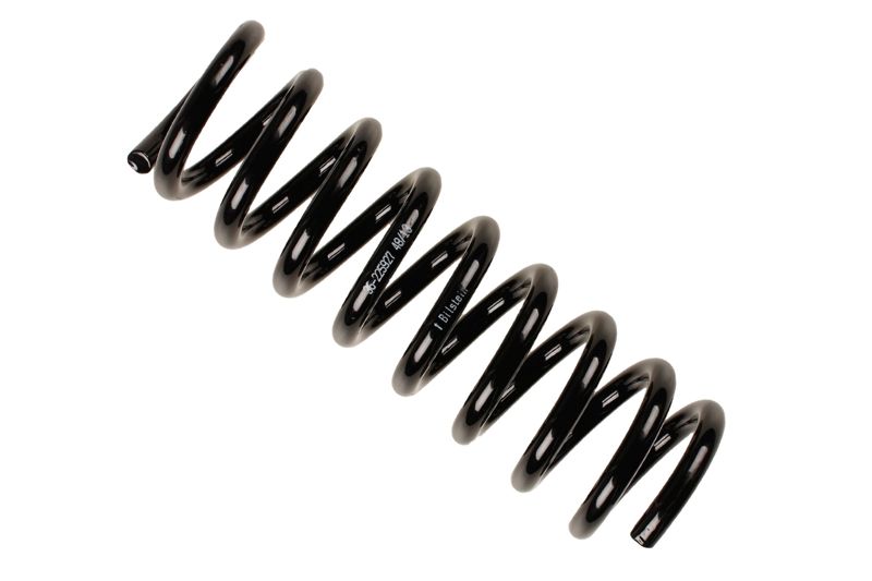 Bilstein B3 Rear Coil Spring