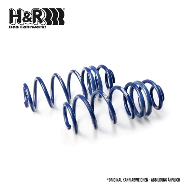 H+R Lowering Spring Set