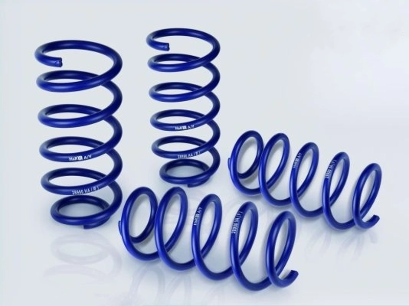 H+R Lowering Spring Set